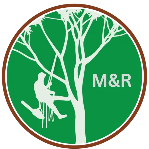 M & R Tree Services