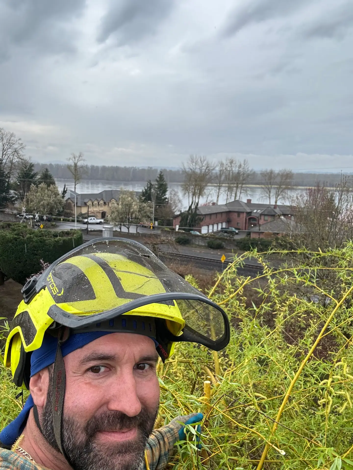 Arborist in safety gear next to a freshly cut tree trunk with residential and forest view in background.