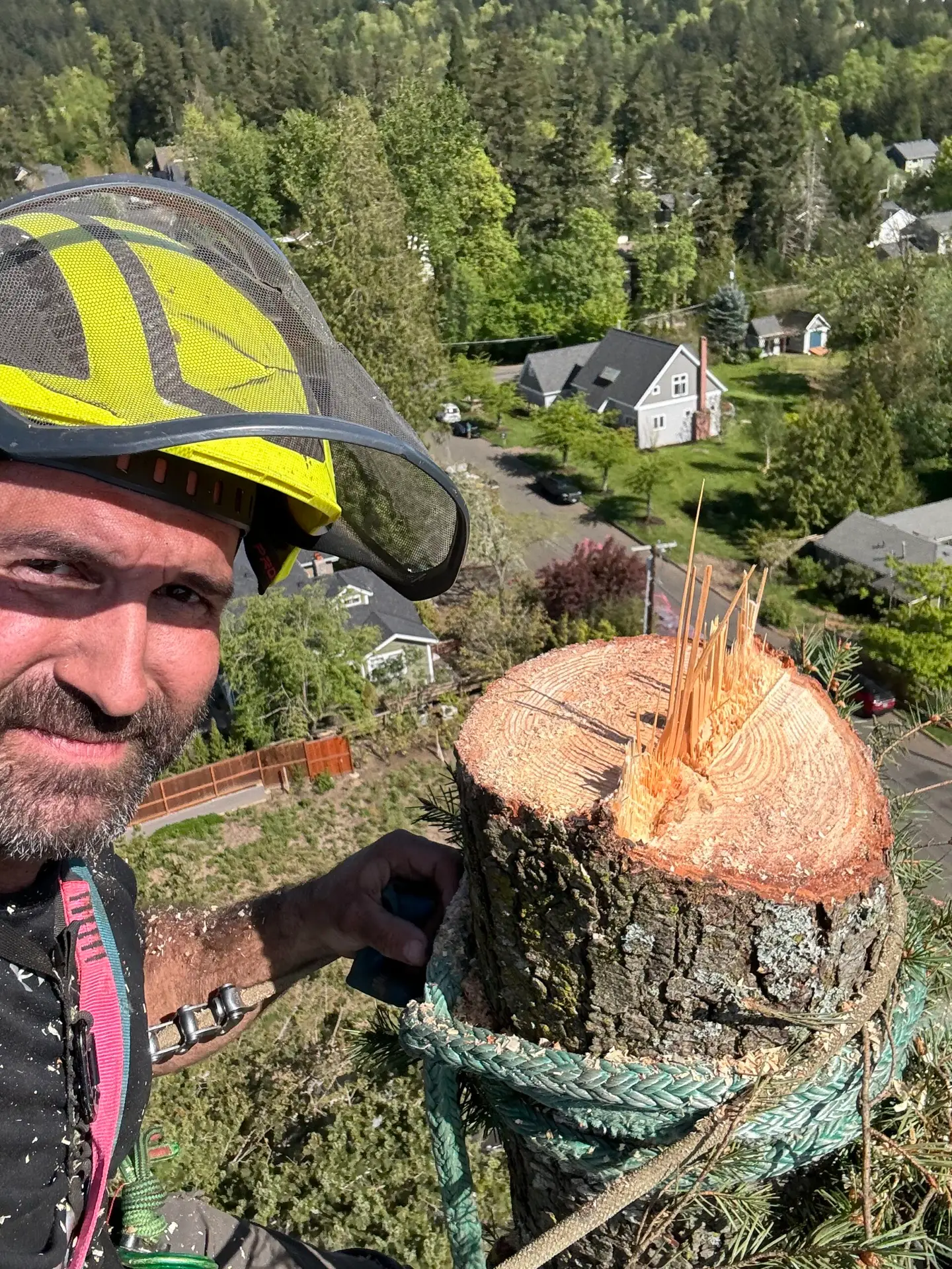 Arborist in safety gear next to a freshly cut tree trunk with residential and forest view in background.