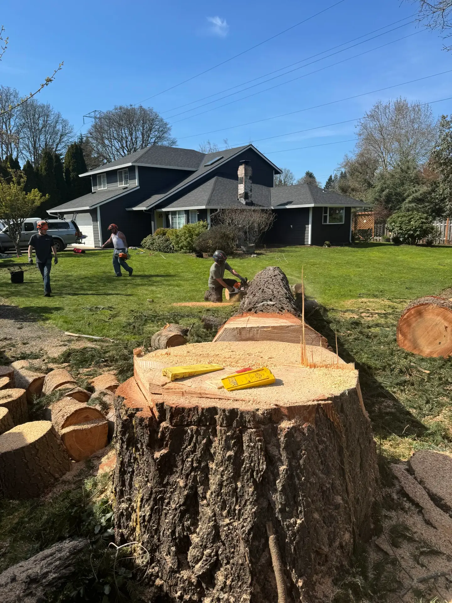 Large tree stump with wedges in a residential yard, surrounded by tree service workers and cut logs