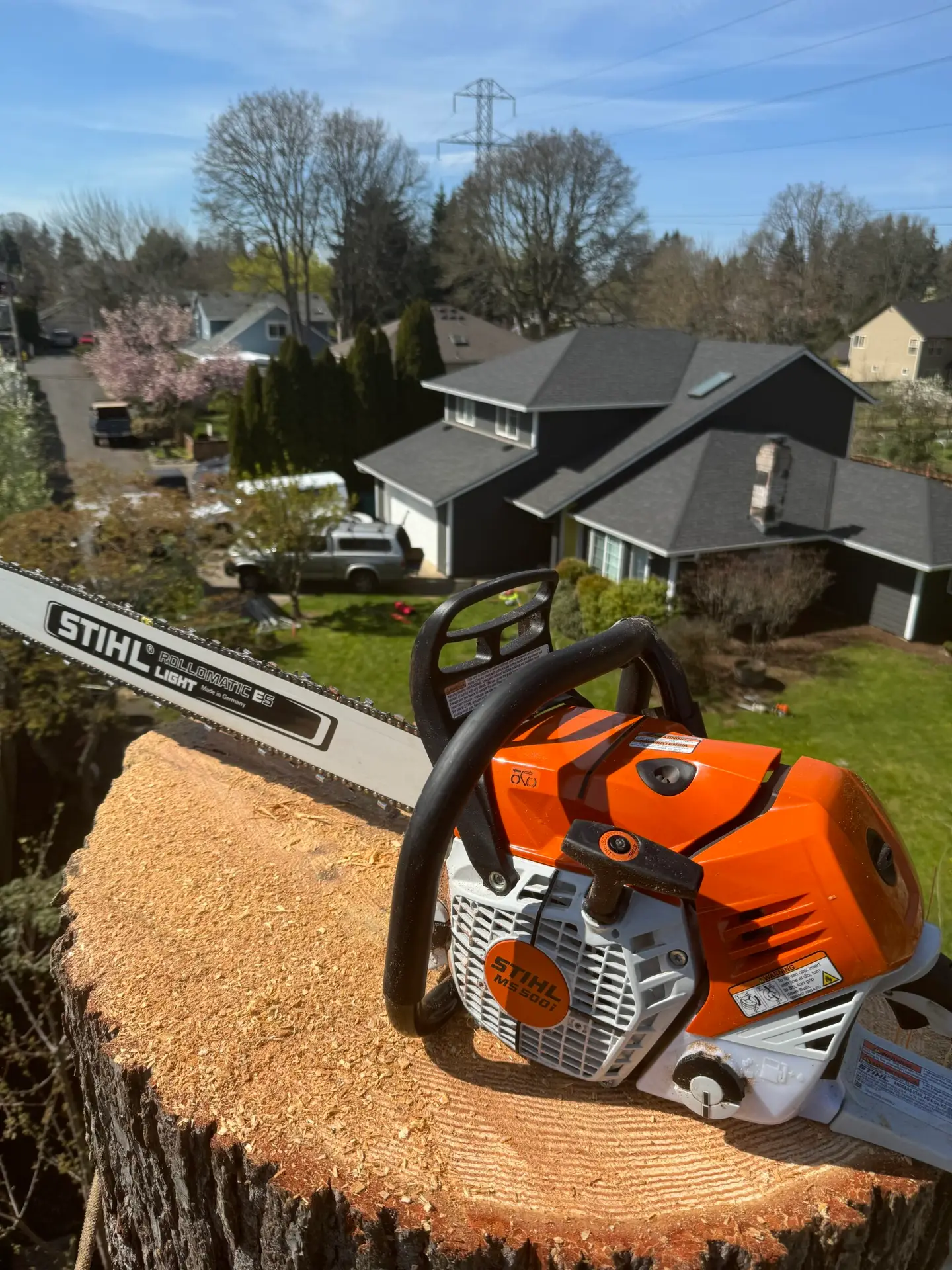 Stihl chainsaw on freshly cut tree stump with residential neighborhood in background.