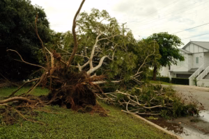 Read more about the article Rapid Response and Recovery: Your Essential Guide to Professional Storm Damage Cleanup in Vancouver, WA